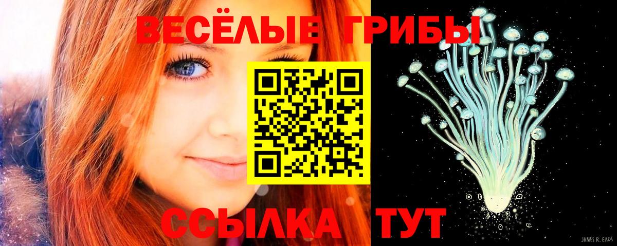Псилоцибиновые грибы MAGIC MUSHROOMS  где купить наркотик  Киреевск  Вход с VPN  Псилоцибиновые грибы Psilocybe 